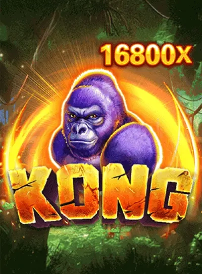 mmr1100